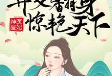 主人公凤羽珩玄天冥小说神医皇妃：弃女翻身惊艳天下在线阅读-扫文君