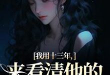 我用十三年，来看清他的真心无常乔星光谢凉锦，我用十三年，来看清他的真心无常在线无弹窗阅读-扫文君