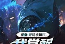 主角敖一帆小说魔童：开局被镇压，我觉醒多子系统免费阅读-扫文君
