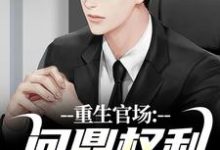 男女主人公林峰唐雪颜小说重生官场：问鼎权利之巅免费阅读-扫文君