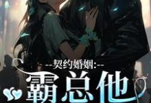 契约婚姻：霸总他超会宠小说，契约婚姻：霸总他超会宠苏锐秦众无弹窗在线阅读-扫文君