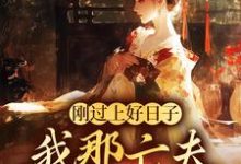 刚过上好日子，我那亡夫怎么回来了小说在线免费阅读，刚过上好日子，我那亡夫怎么回来了无删减版-扫文君