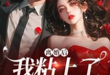 离婚后，我粘上了那位大佬小说免费资源，离婚后，我粘上了那位大佬在线阅读-扫文君