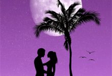 小说《征婚当天，亿万总裁约我去领证》章节免费阅读-扫文君