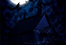 完结版《帝君轻点宠，帝后好傲娇》免费阅读-扫文君
