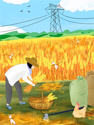 让我做妾？我直接当皇后这本小说怎么样？免费在线阅读试试