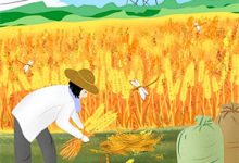 校霸搞暗恋？重生后撩到他脸红小说，校霸搞暗恋？重生后撩到他脸红尹满月谢妄-扫文君