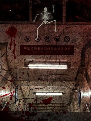 完结版《君卧高台,我栖春山》章节目录在线阅读