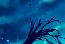 《棠花映星河，旧梦不再忆》全集免费在线阅读（陆星淮星淮）-扫文君