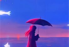 小说《南枝向暖》章节阅读-扫文君