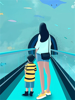 完结版《苏小姐，你无与伦比》在线免费阅读